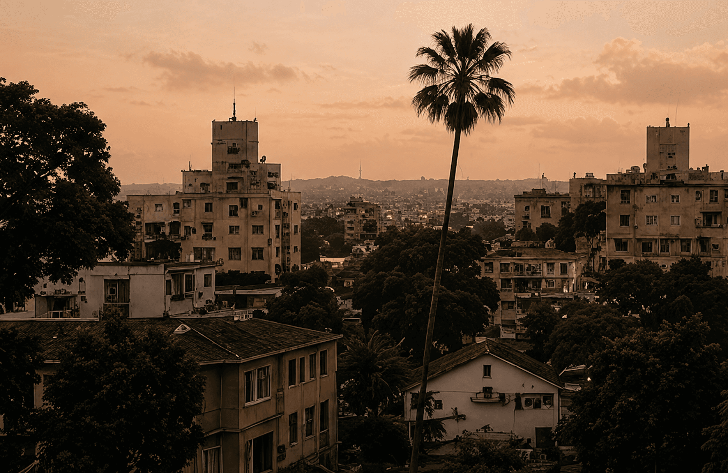 A hazy city skyline at dusk with a palm tree